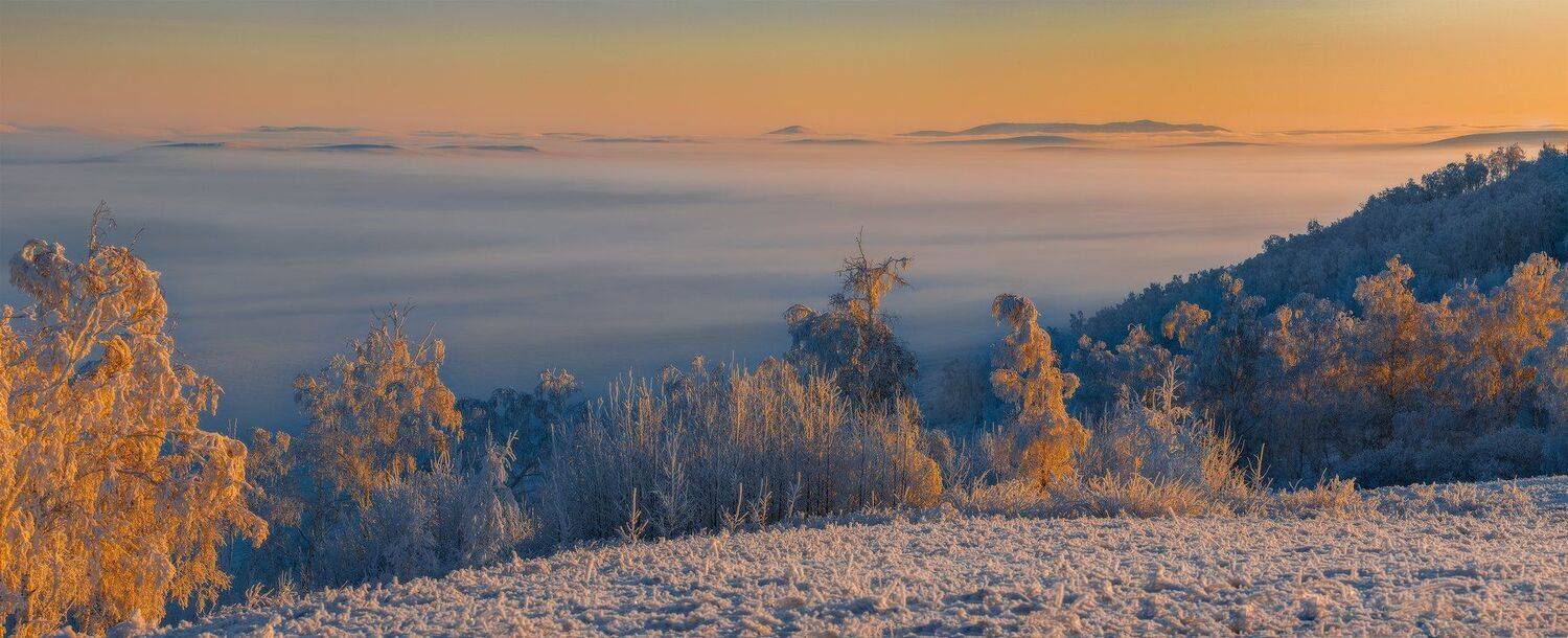 , Александр Макеев