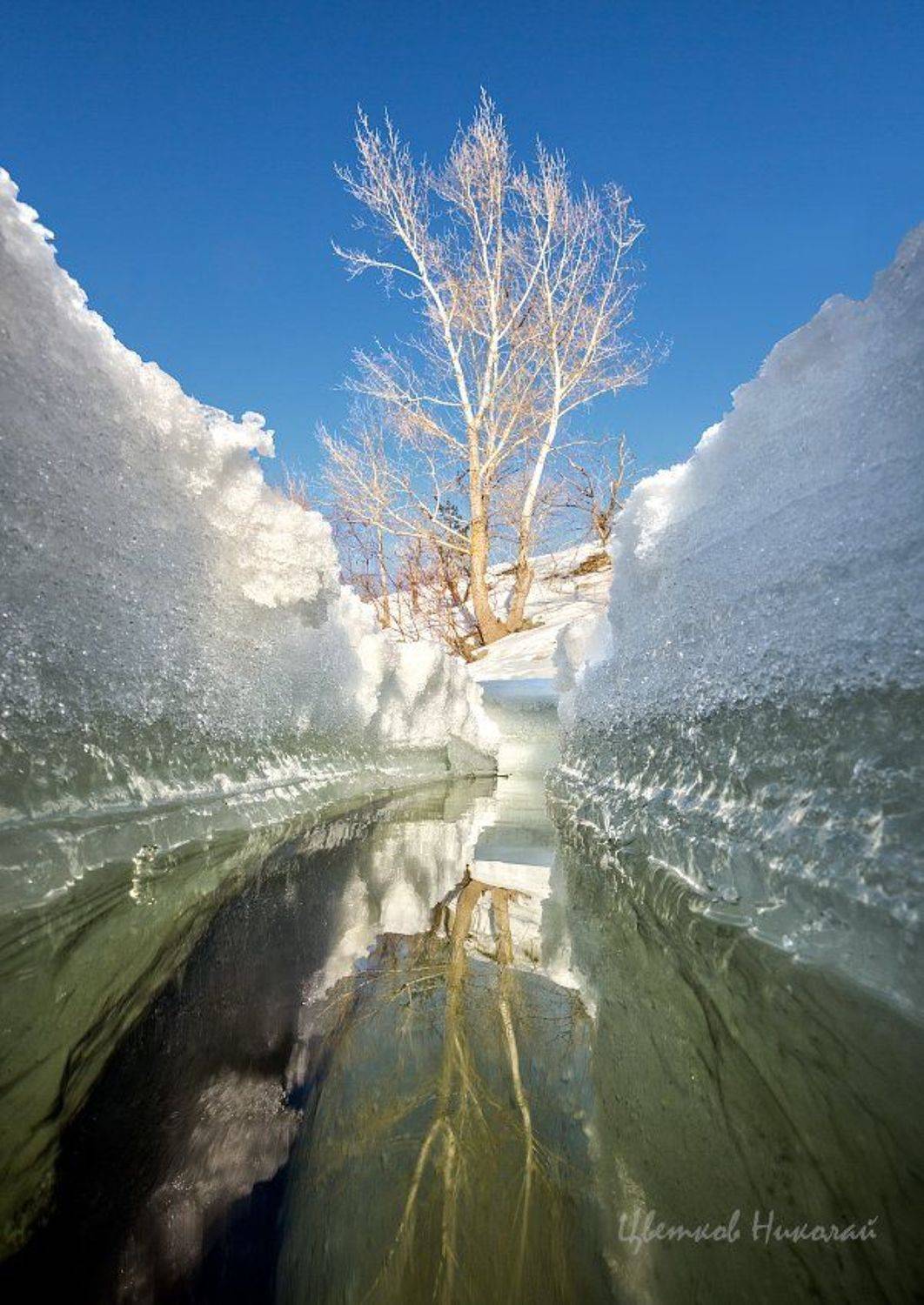, Николай Цветков