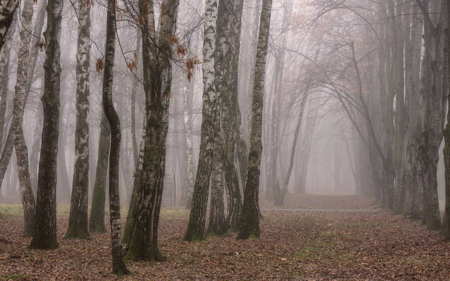 зима, Alexander Plekhanov