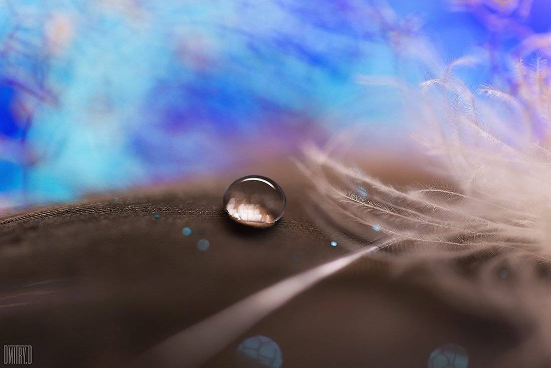 макро, капля,, Дмитрий Доронин