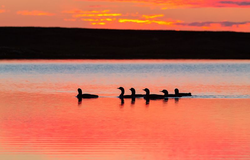 Глазами биолога фото превью