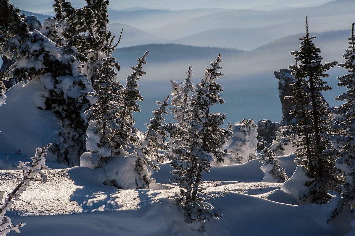 зима, солнце, снег, сугробы, пихты, кедры, шерегеш, горная шория, сибирь, Валерий Пешков
