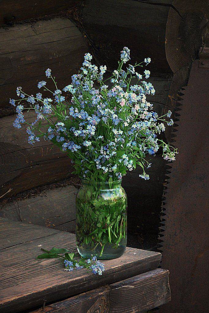 сергей алексеев, натюрморт, Сергей Алексеев