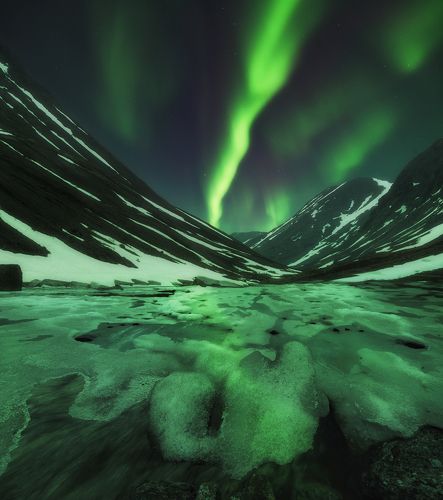 В поисках Авроры