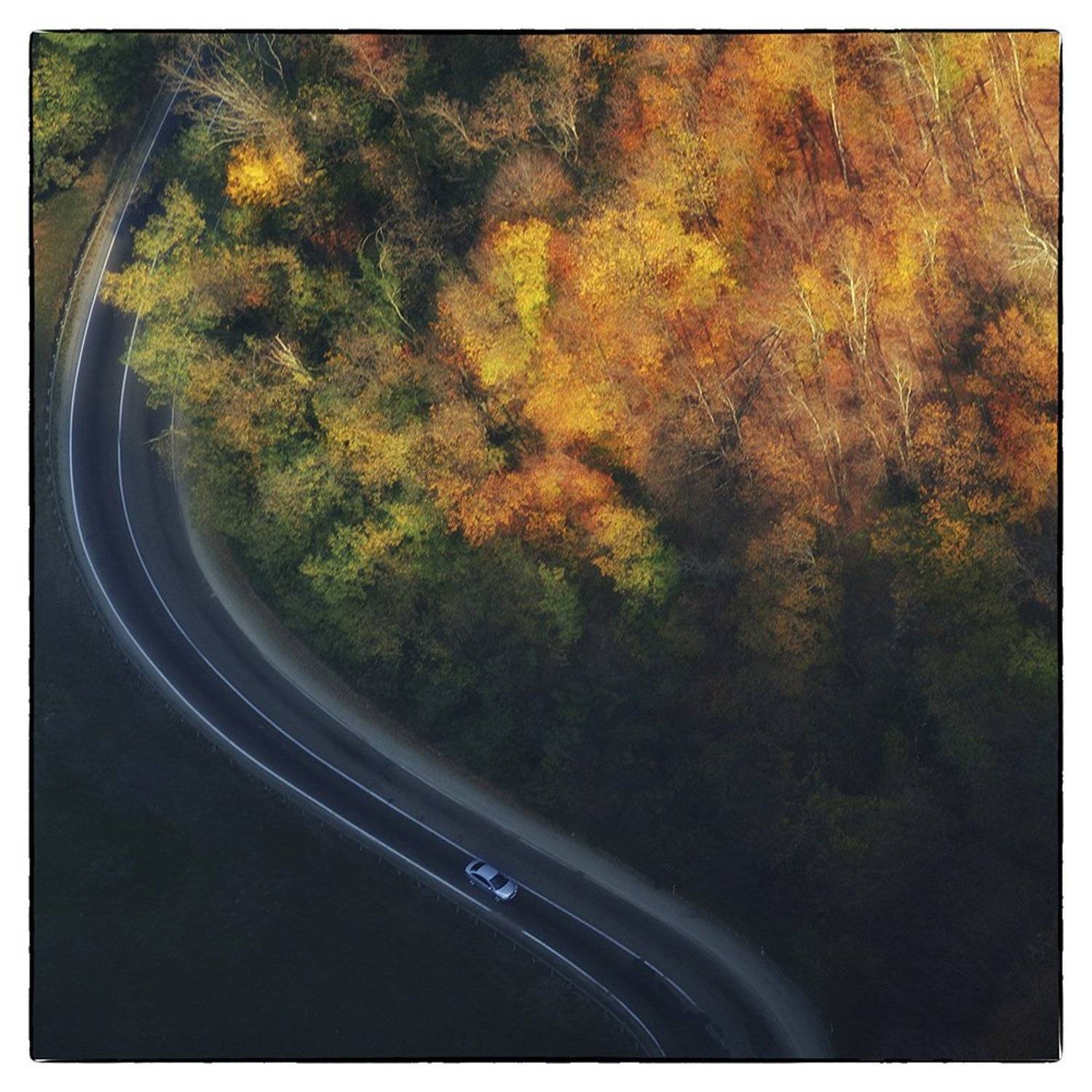 , Сидоренко Алексей