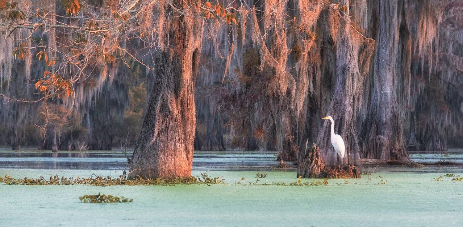 , Маргарита Чернилова
