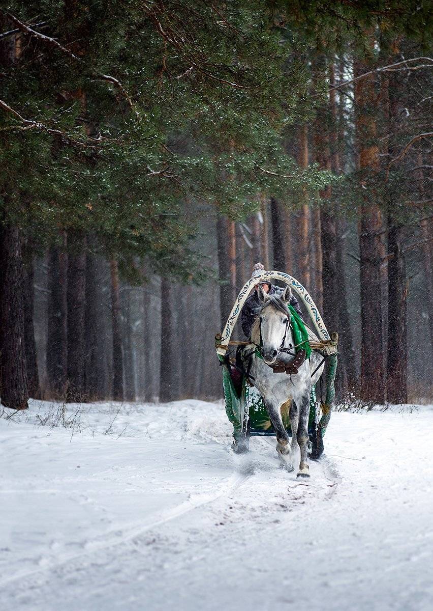 , Наиля Гарифуллина