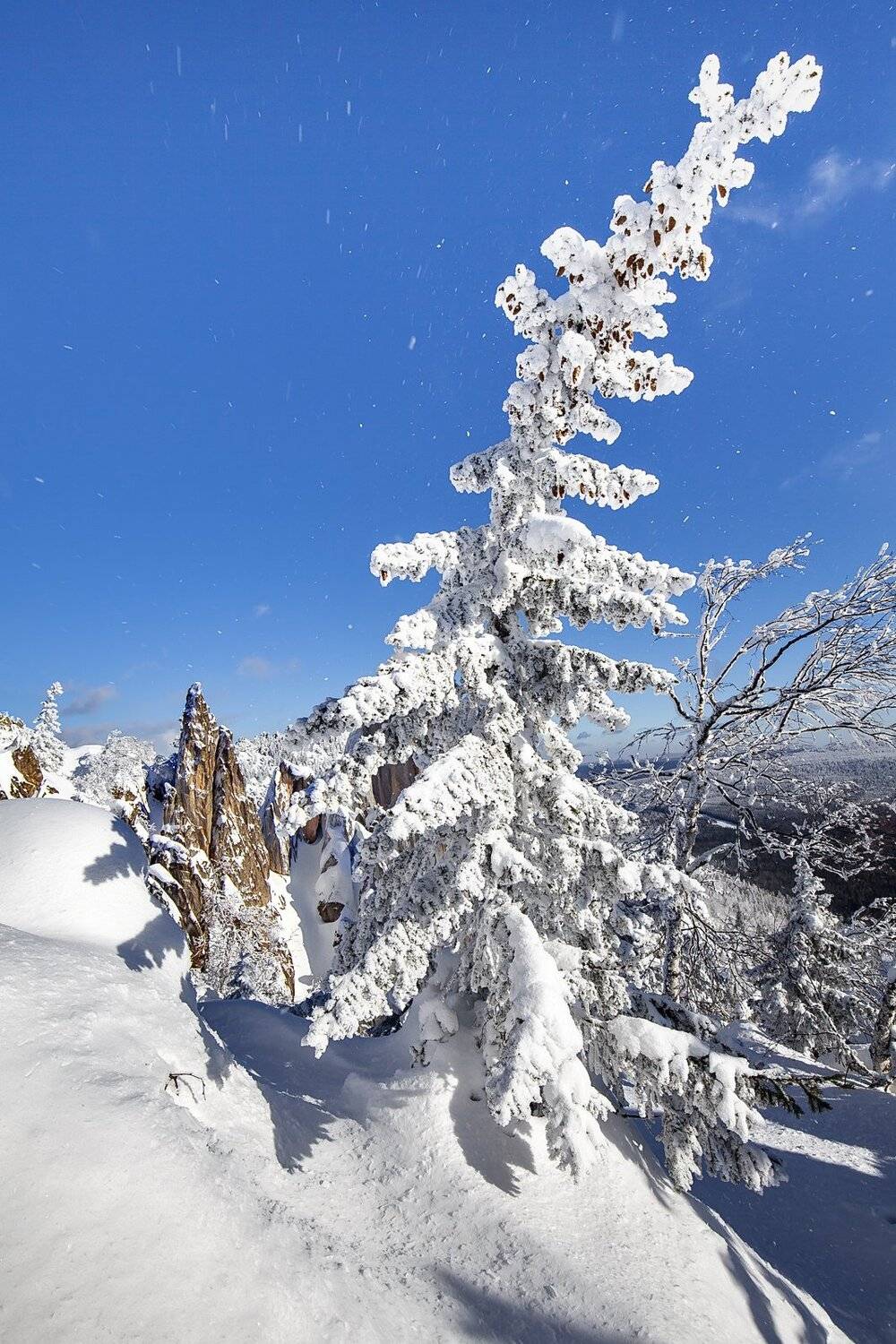 , Сергей Евдокимов