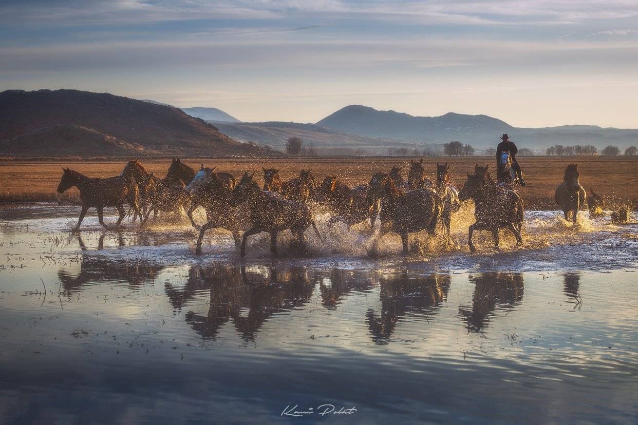 , Kani (kanipolat.com) Polat