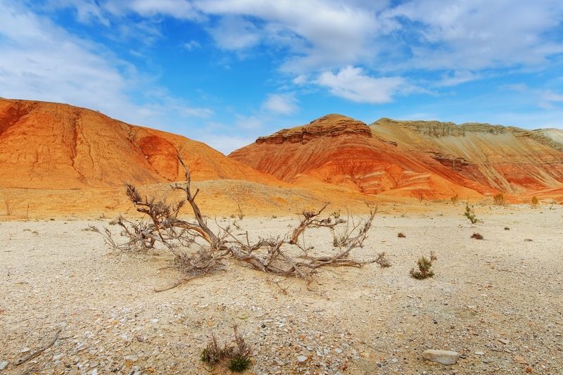 пустынные зарисовки фото превью