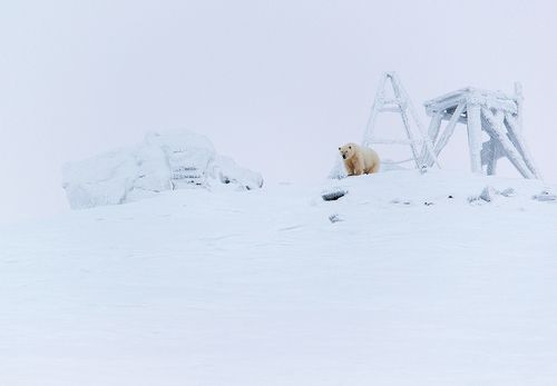 Наблюдатель...
