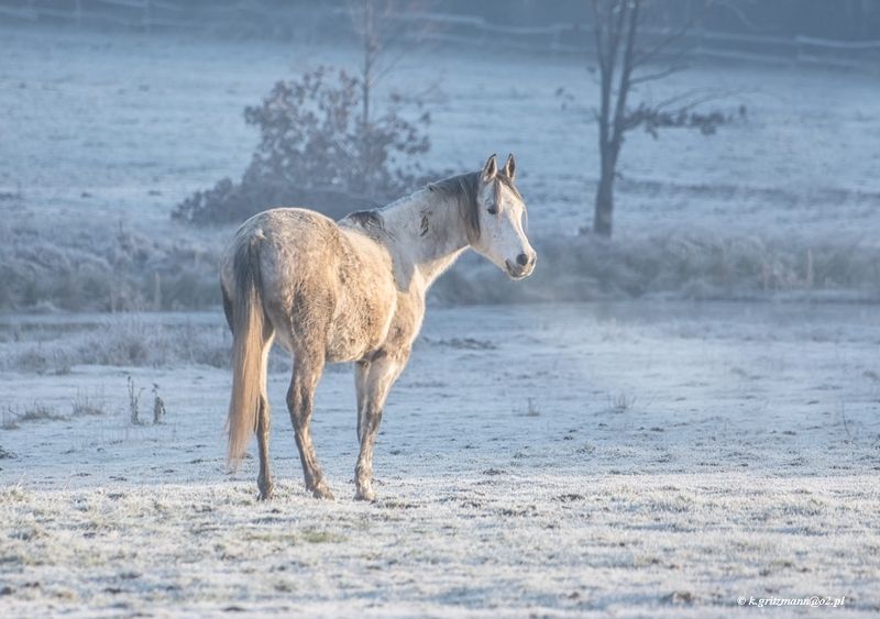 ... фото превью