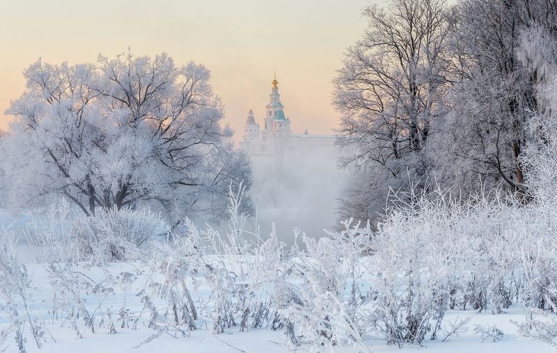 Январские мечты