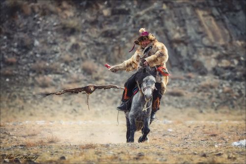 Фазы атаки ..