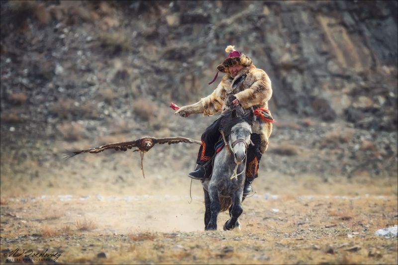монголия, фестиваль охотников с беркутами, западная монголия, altai eagle festival, азия, golden eagle festival, охотники с беркутами, осень, golden eagle, mongolia, asia, фототур в монголию, фототур на алтай, фототуры по россии, фототур в монголию в 2019 Фазы атаки .. фото превью