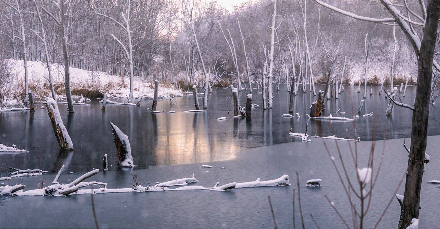 , Игорь Мелекесцев