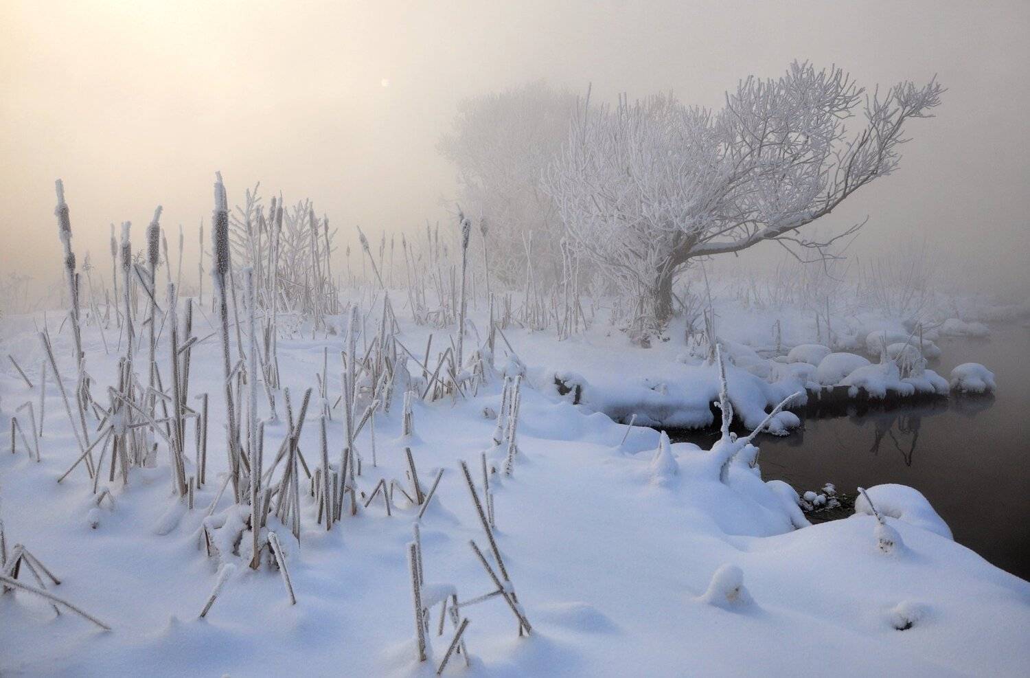 , Макеев Алексей