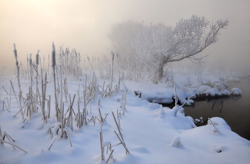 Утренний холод. фото превью