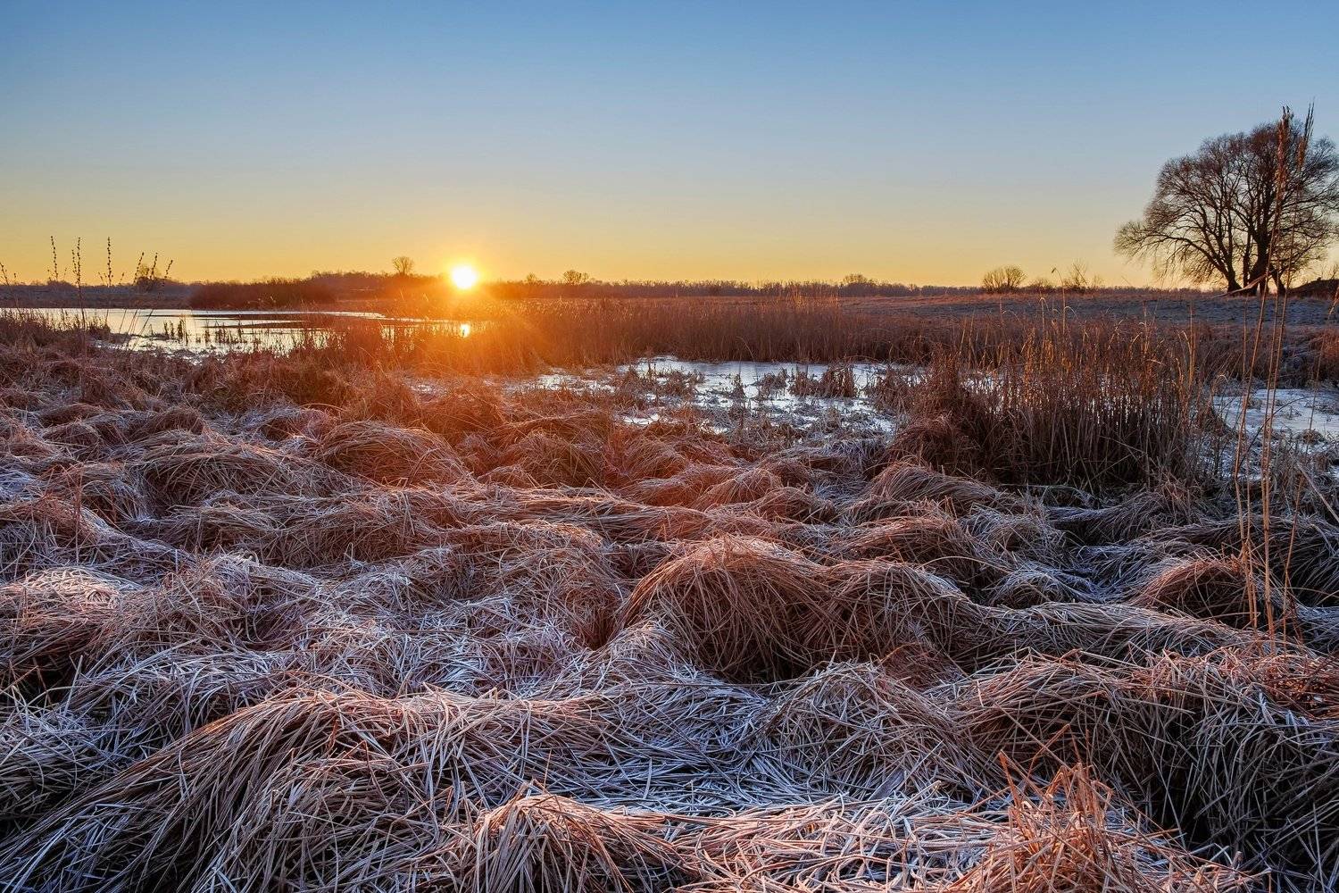 рассвет,мороз,природа,пейзаж,nature,landscape,dawn,sunrise, Alex Arendar