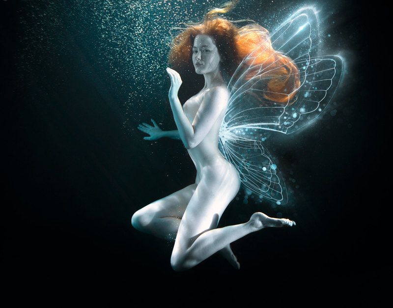 Флюоресцентные рыбки. фото превью