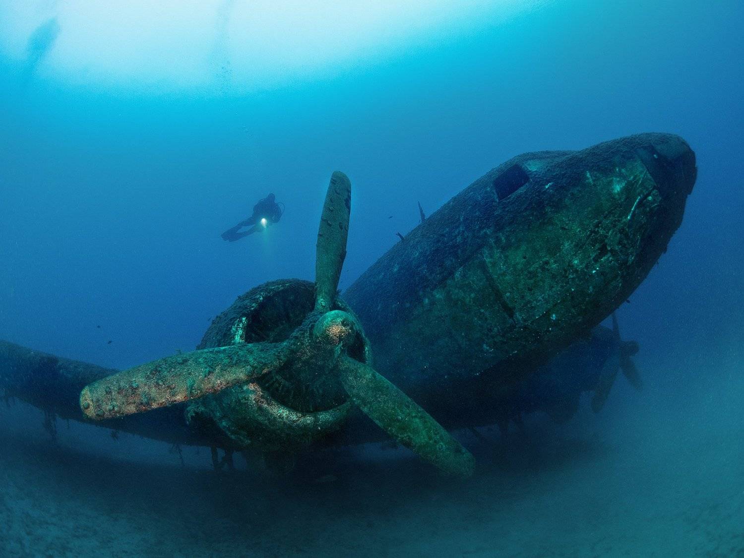 самолет dc-3 douglas турция, Сергей Шанин