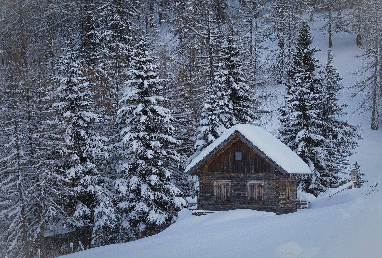 winter, Branko Česnik