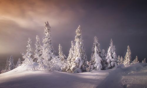 Уреньга