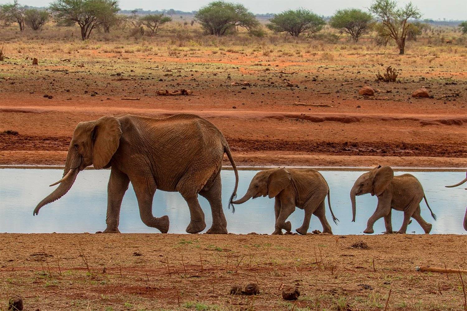 , Silvestr Szab&oacute;