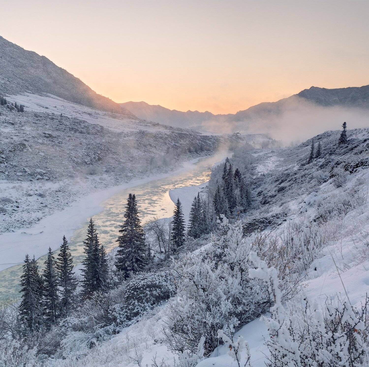 , Лещёнок Александр