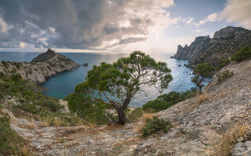 Вечер в Новом свете