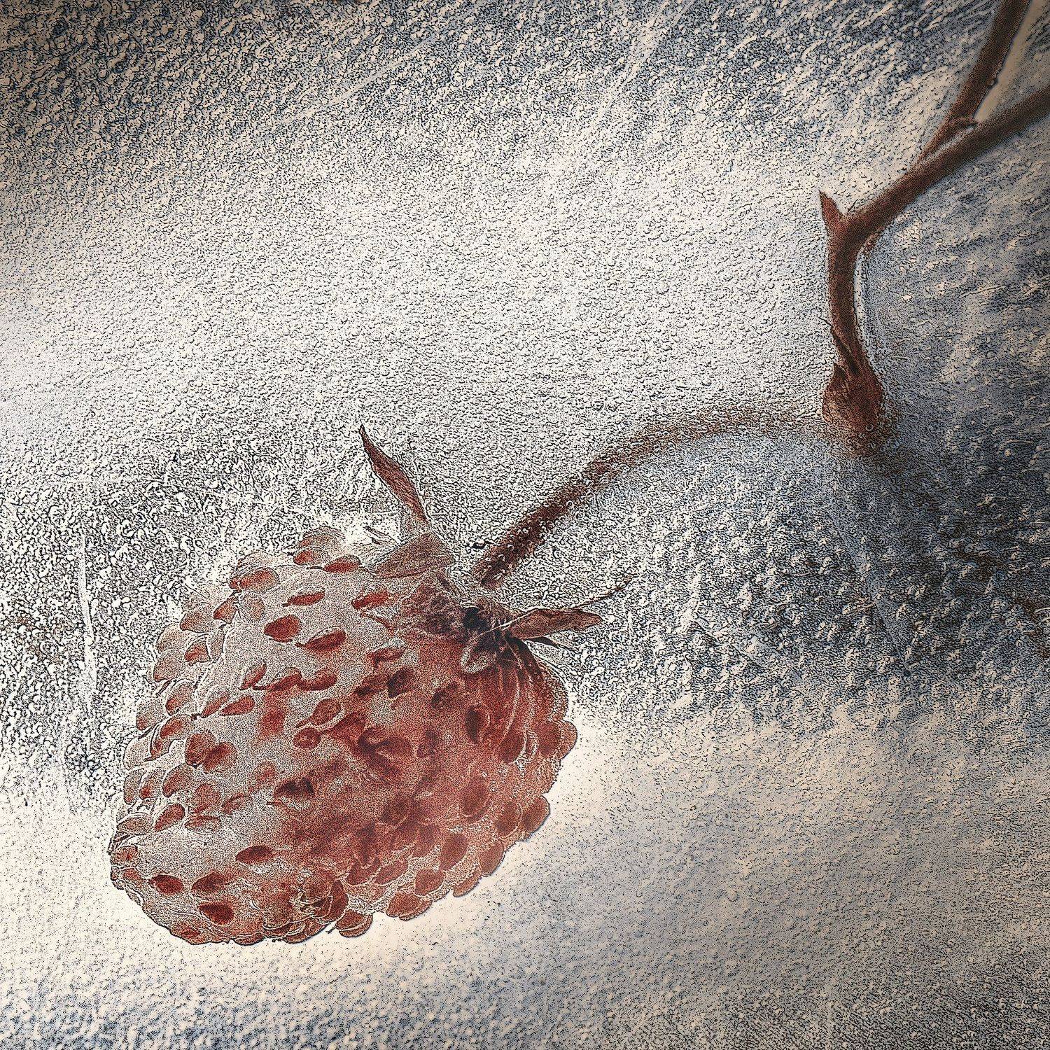 , Kristina Zvinakeviciute