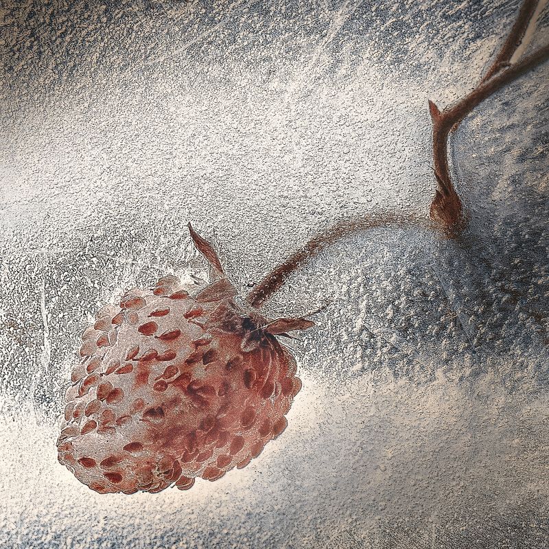 ...frozen фото превью