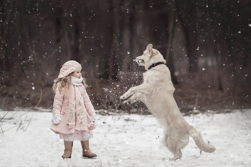 Игра в снежки