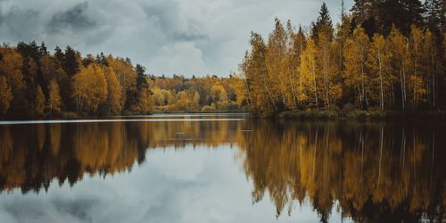 Осень в Черноголовке