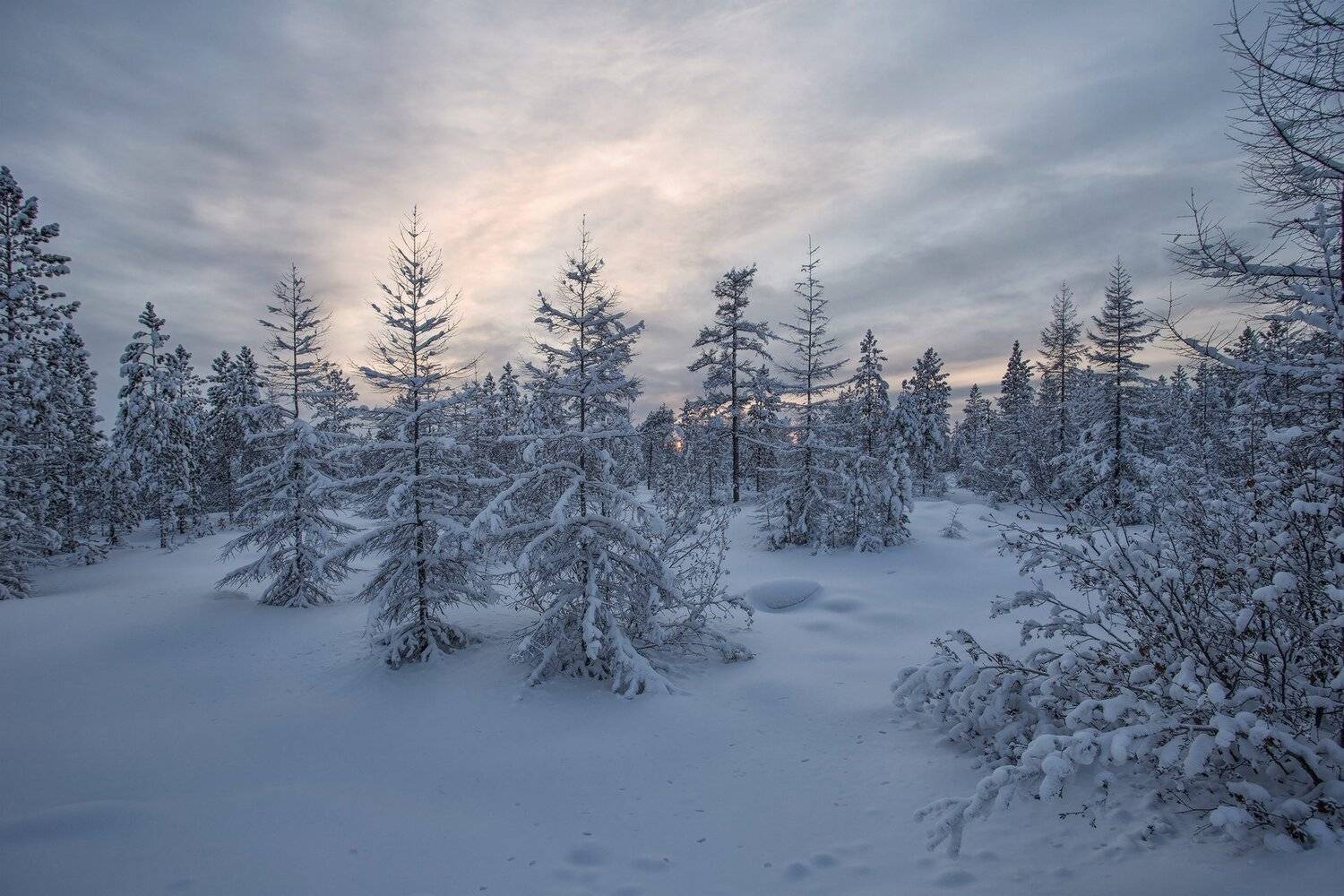 якутия, нерюнгри, зима, Евгения Левина