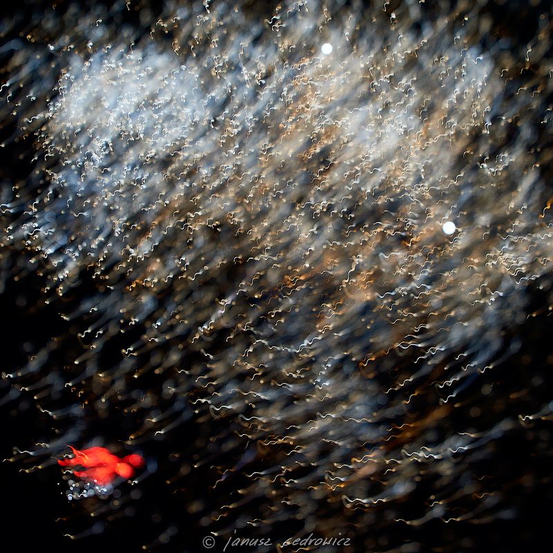 firework, fireworks, explosion, sky, night, lights, colors, colorful, art, abstract, fireworxx фото превью