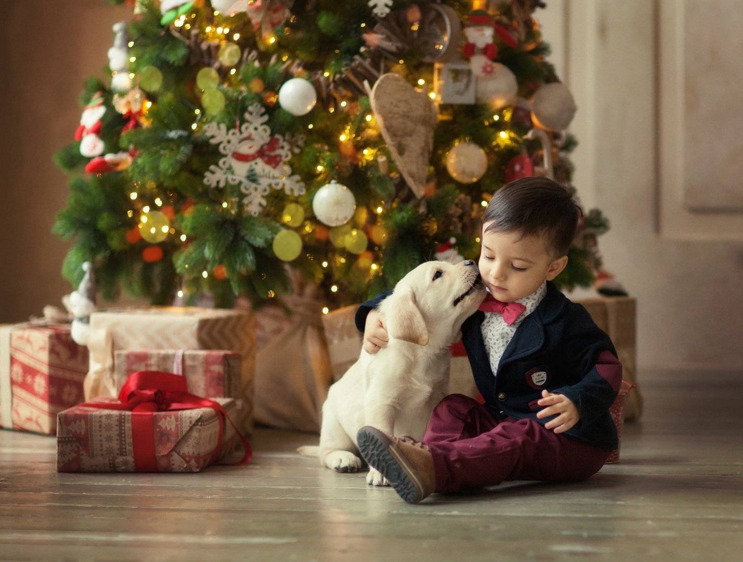 , Ирина Абрамова