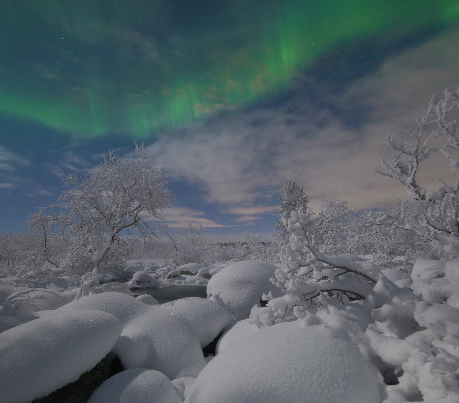 , Анастасия Малых