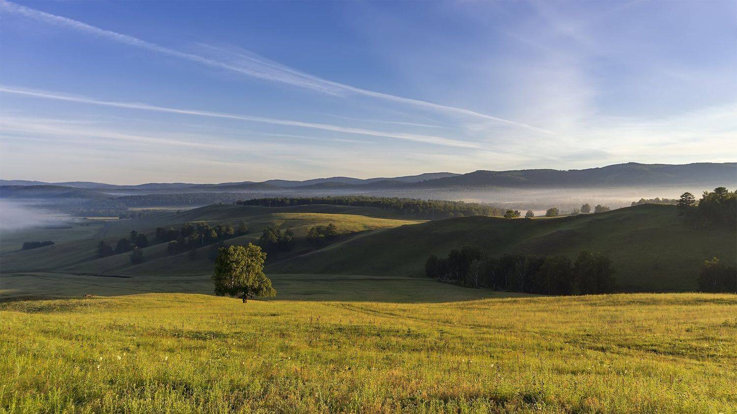 утро, рассвет, восход, туман, лучи, Леонид Максименко