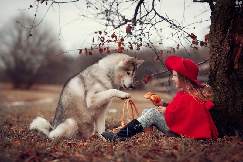 Красная Шляпочка фото превью