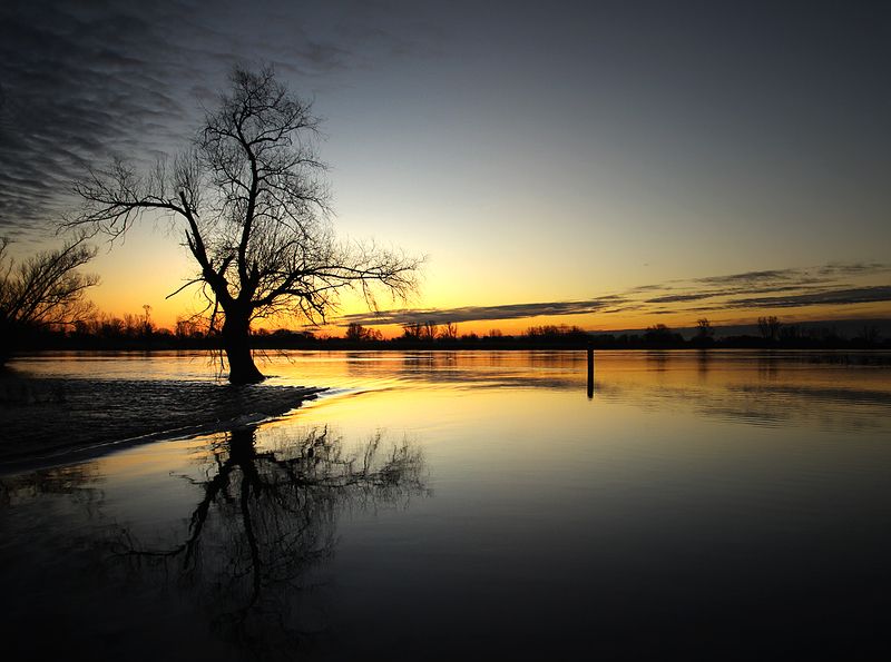 ... фото превью