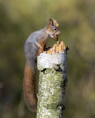 Осенние хлопоты