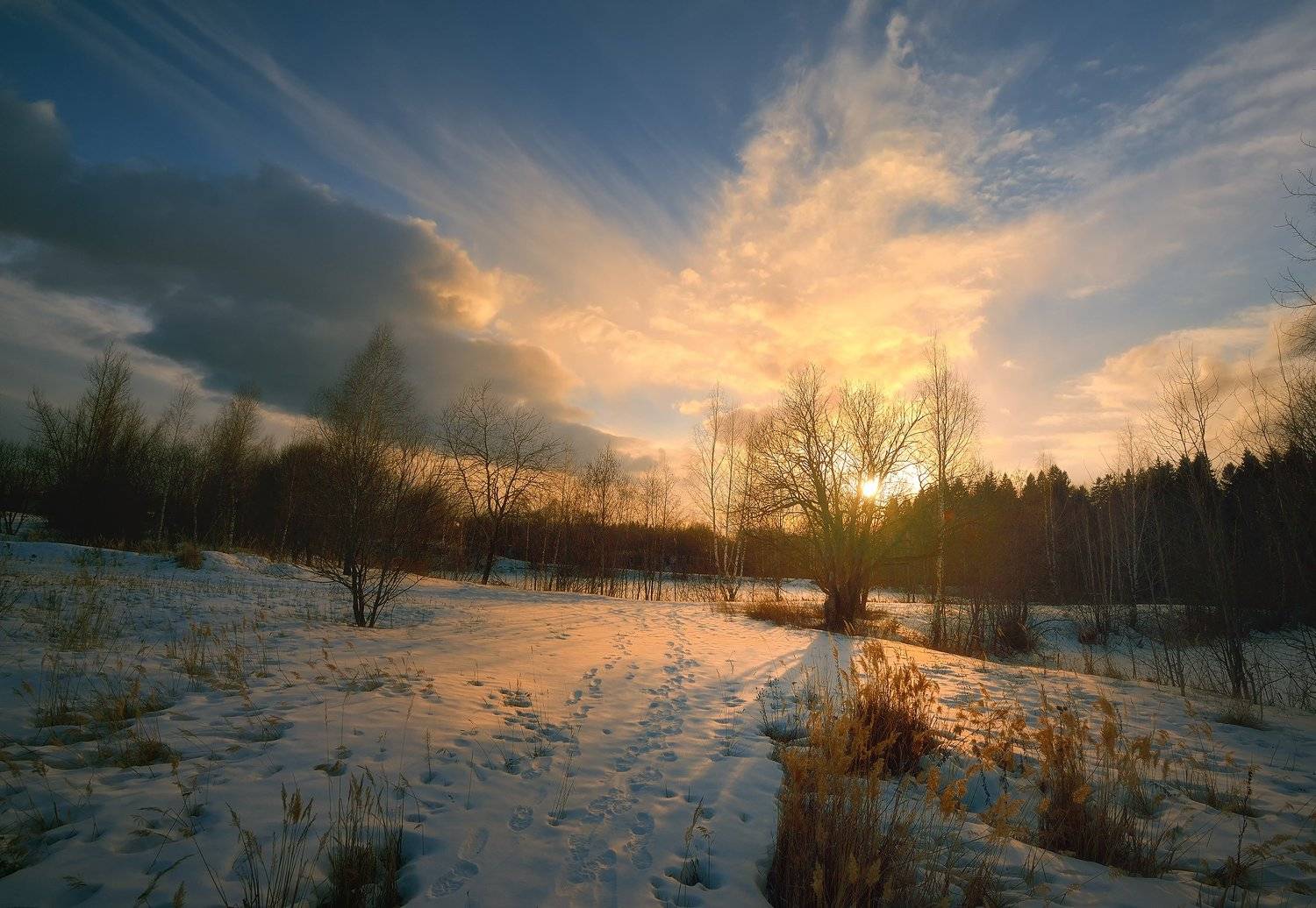 , Алексей Никонов