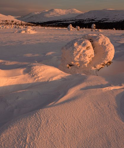 Первые лучи