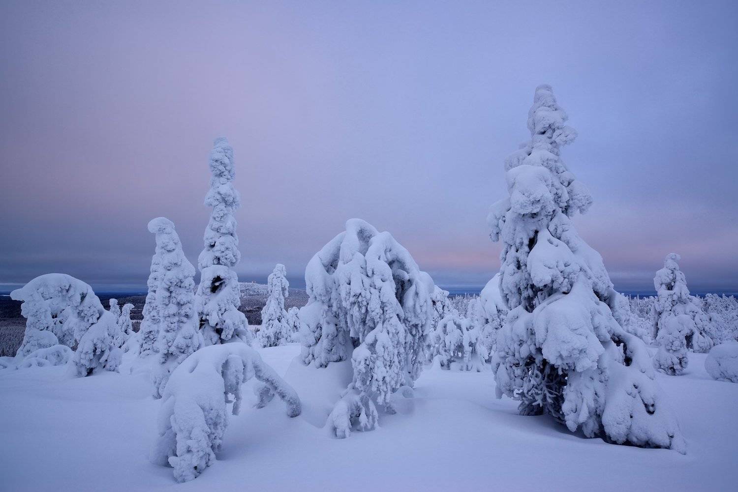 , Максим Евдокимов