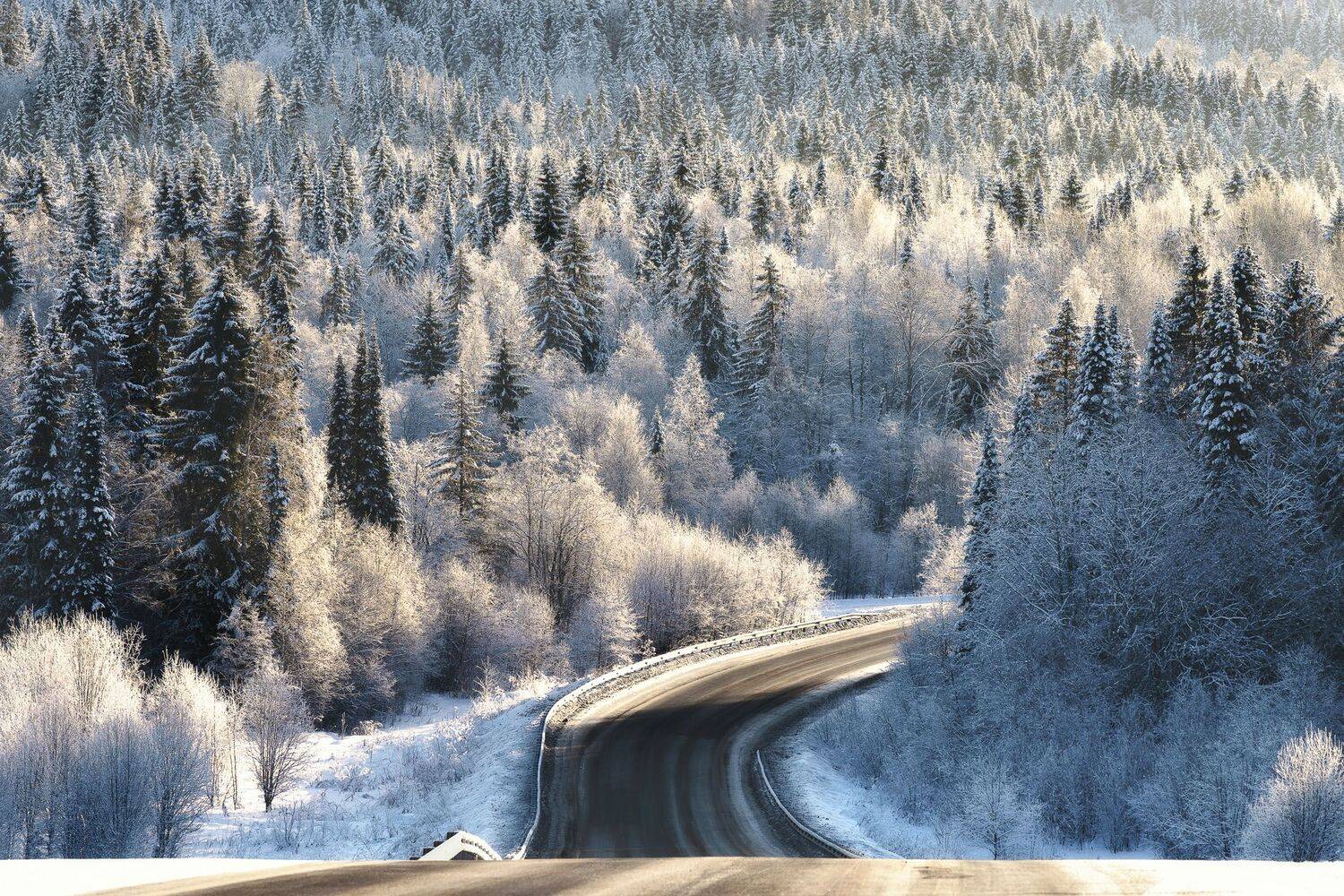 , Михаил Туркеев