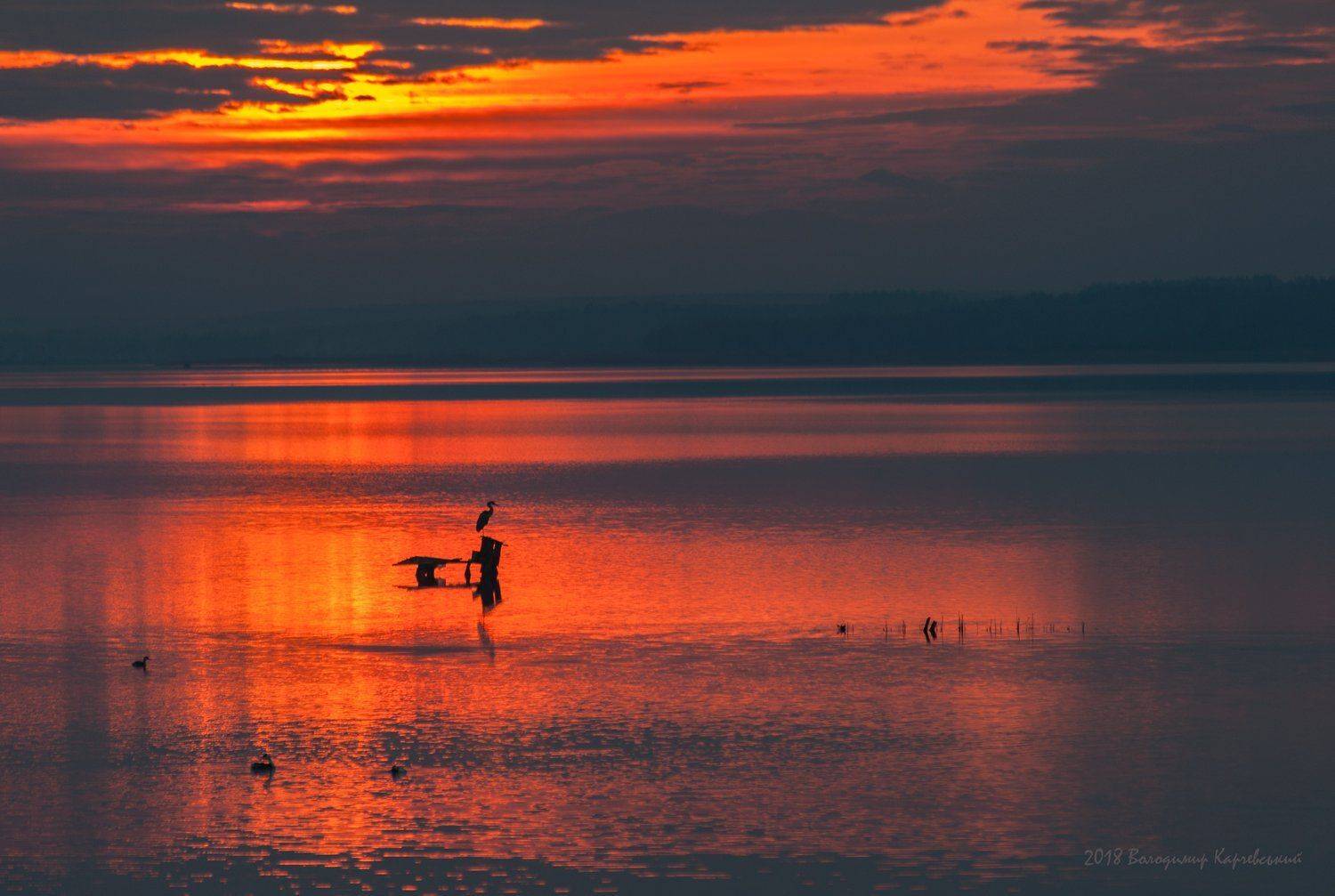 , Володимир Карчевський
