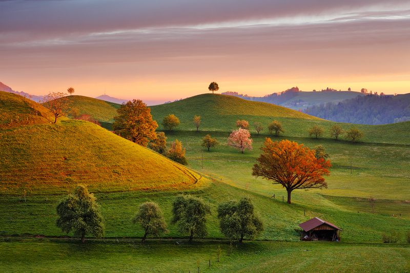 morning, hills, switzerland, spring, trees, beautiful, travel, landscape, europe Fairytale Morning фото превью