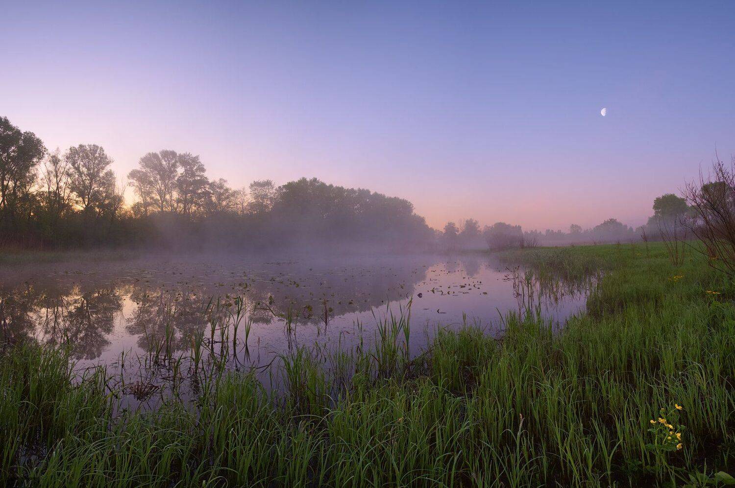 утро, рассвет, весна, туман, луна, панорама, озеро, lake, spring, fog, moon, morning, colors, misty, Ivan Maljarenko
