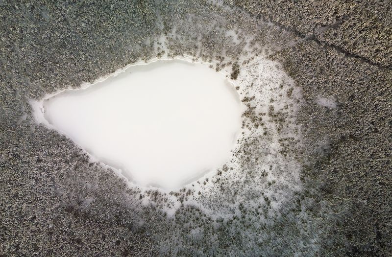 дрон, лес, зима, лед,озеро, литва, дронофото, снег Бычий глаз фото превью